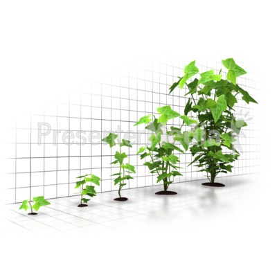 growth%20clipart