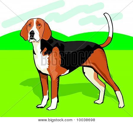 hound%20clipart