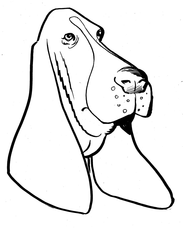 hound%20clipart