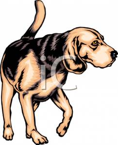 hound%20clipart