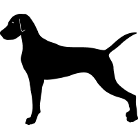 hound%20clipart