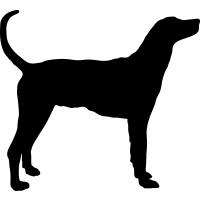 hound%20clipart