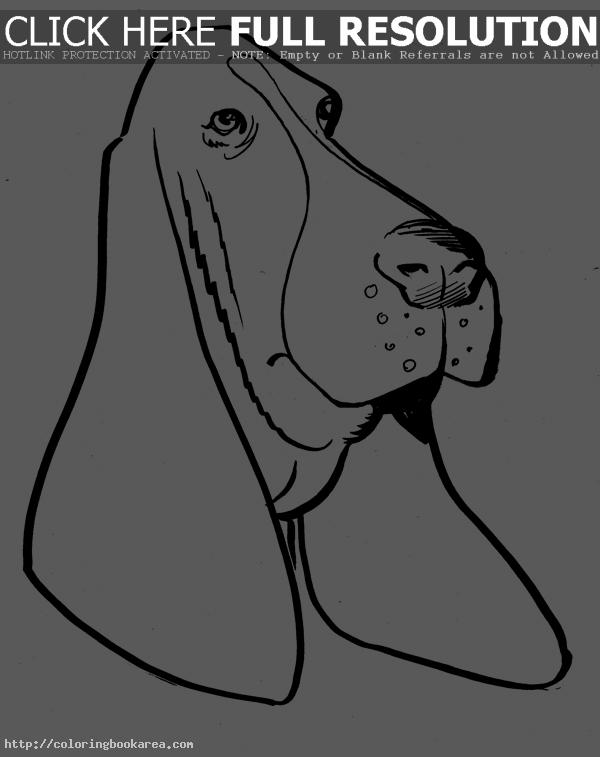 hound%20clipart