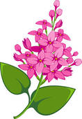 Lilac Flower Clip Art