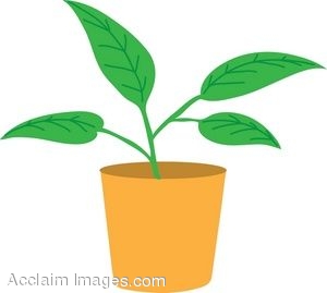 plant clipart