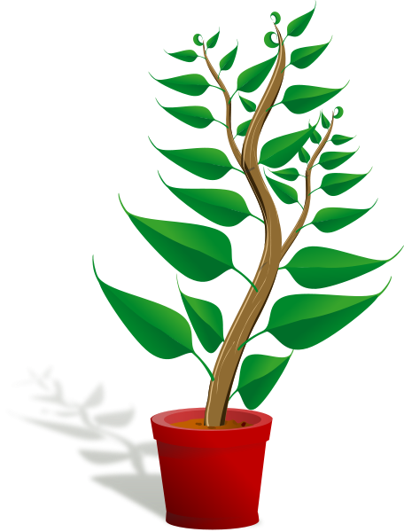 plant clipart