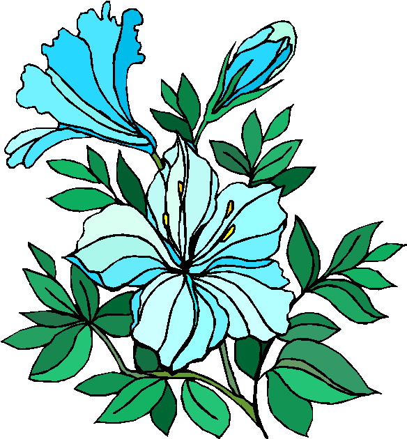 plant clipart