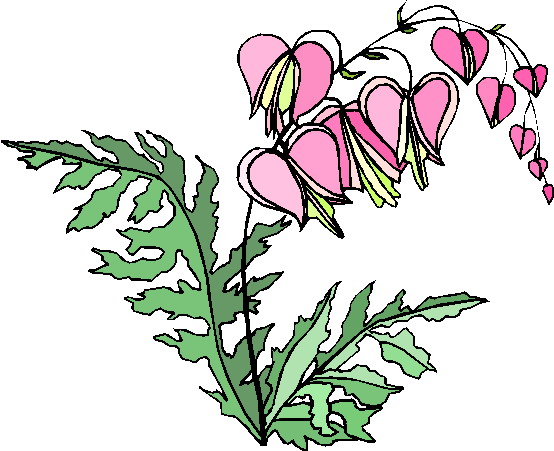 plant clipart