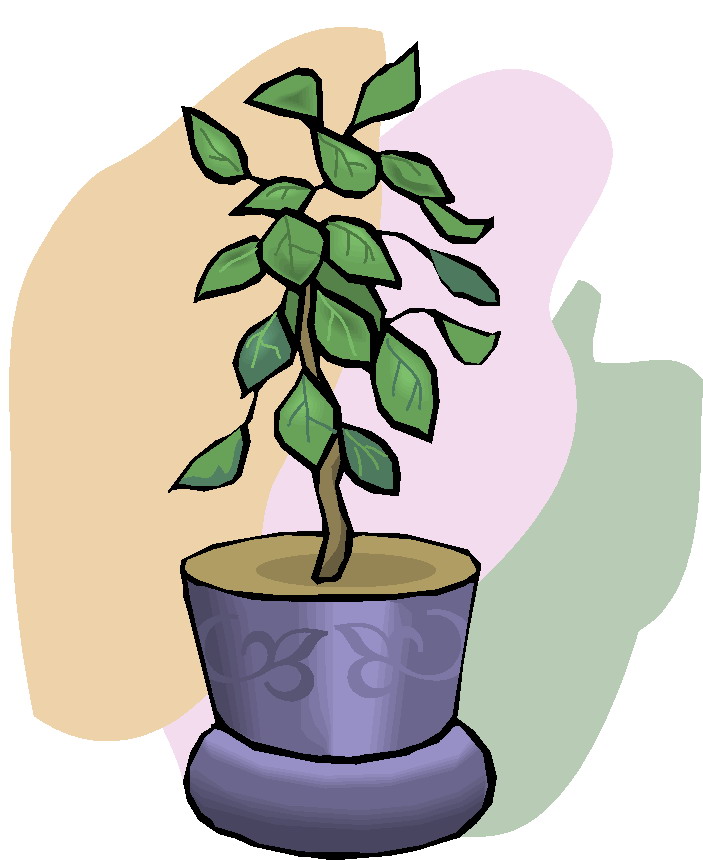 plant clipart