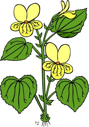 plant clipart