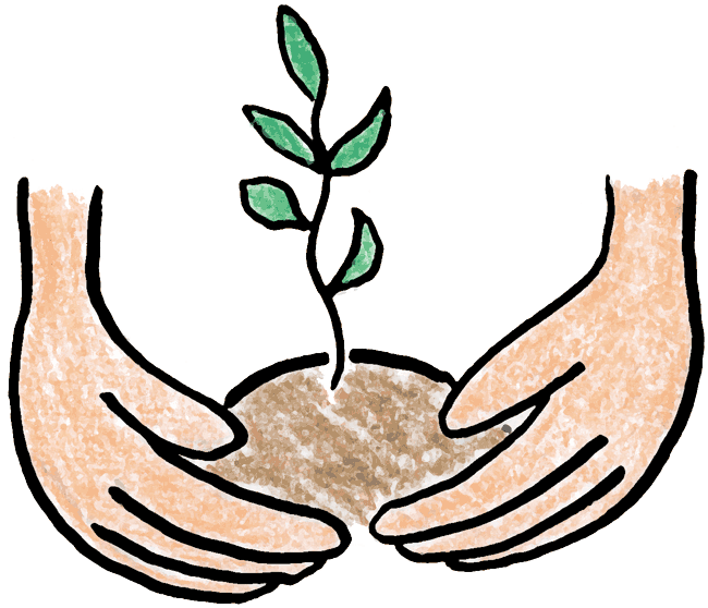 plant clipart