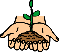 plant clipart