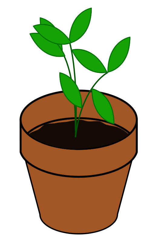 plant clipart