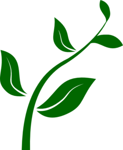 plant clipart