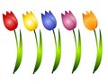 row%20of%20flowers%20clipart