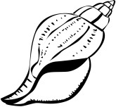 Shell Clip Art