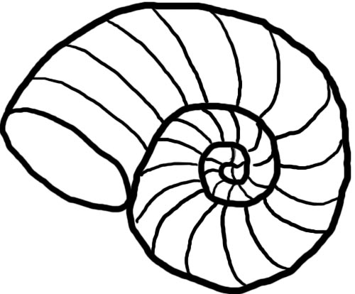 Shell Clip Art