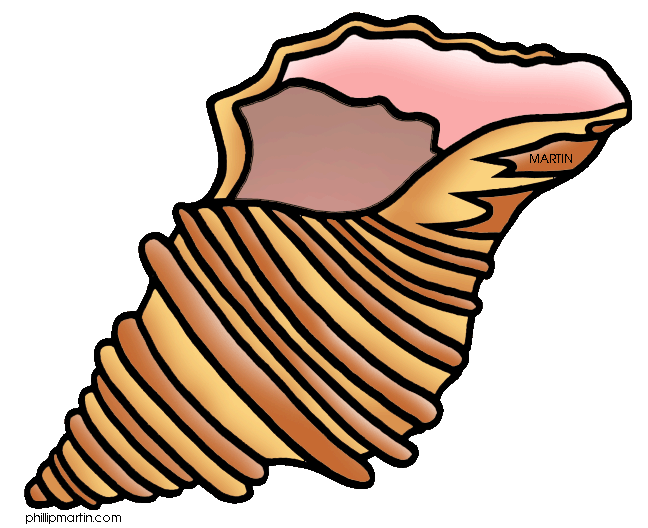 Shell Clip Art