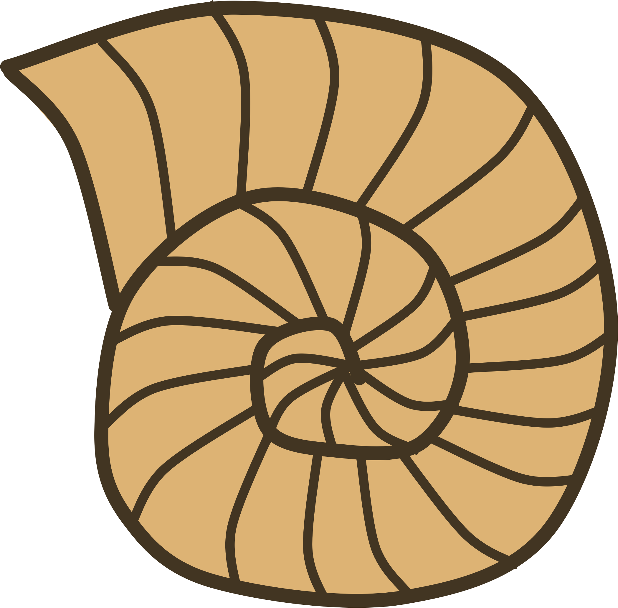 shell%20clipart