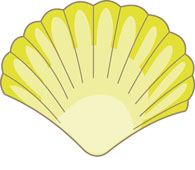 shell%20clipart