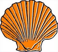 shell%20clipart