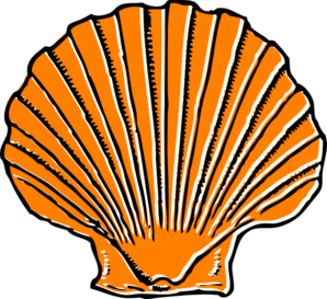 shell%20clipart