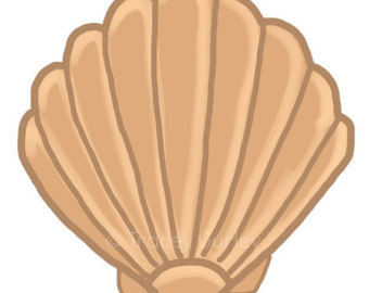 shell%20clipart