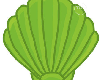 shell%20clipart