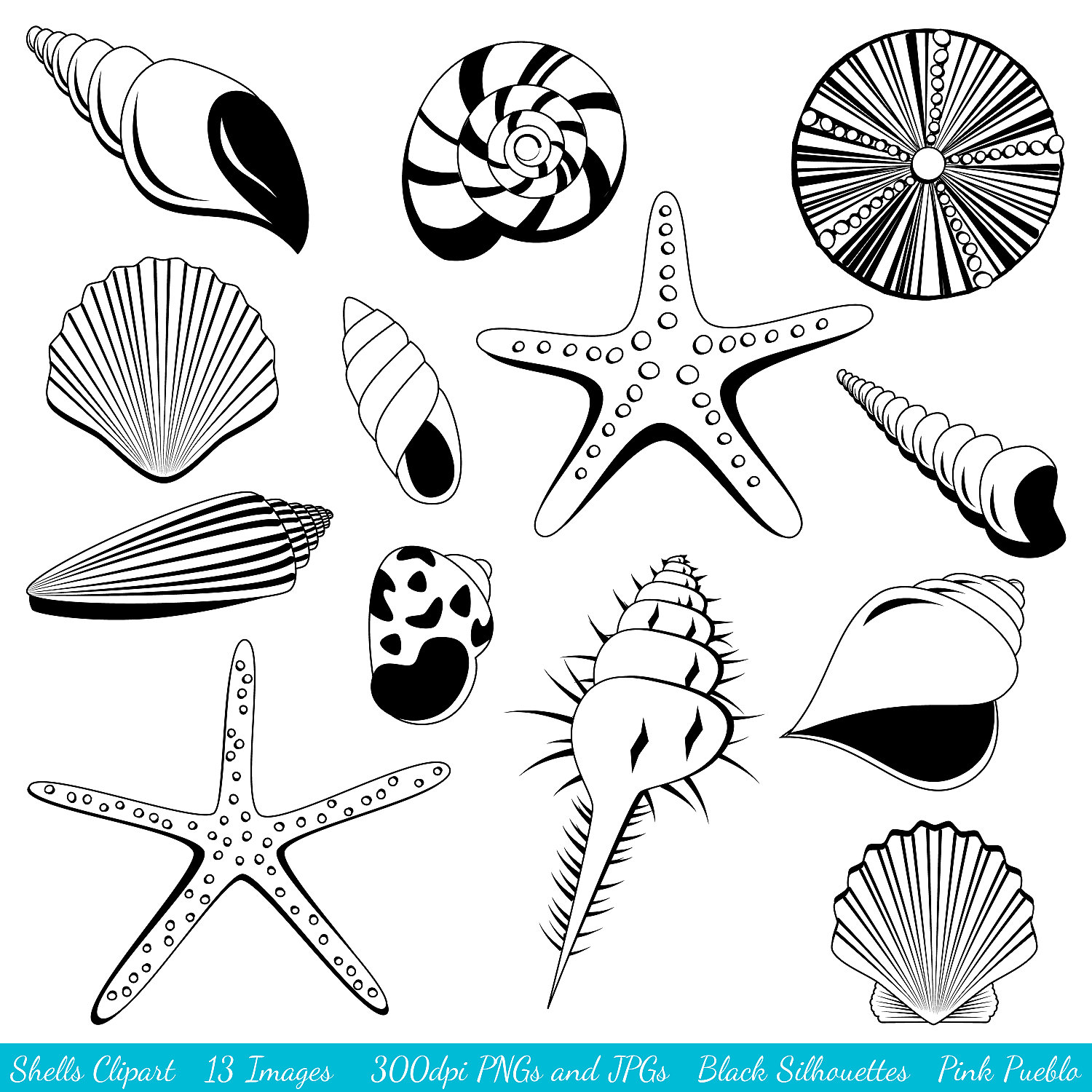 shell%20clipart