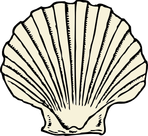 shell%20clipart