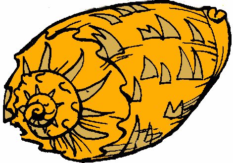 shell%20clipart