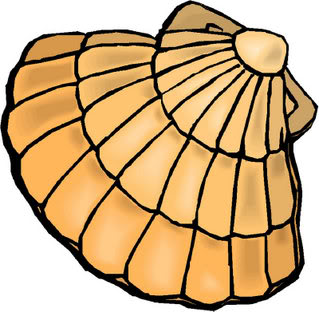 shell%20clipart