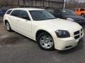 2005 Cool Vanilla White Dodge Magnum SE #119909398