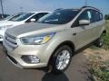 White Gold 2018 Ford Escape SE Exterior