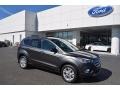 Magnetic 2018 Ford Escape SE Exterior