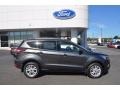 Magnetic 2018 Ford Escape SE Exterior