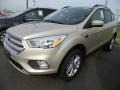 White Gold 2018 Ford Escape SE Exterior