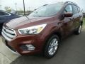 Cinnamon Glaze 2018 Ford Escape SE Exterior