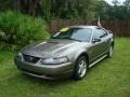 2002 Mineral Grey Metallic Ford Mustang V6 Coupe  photo #1