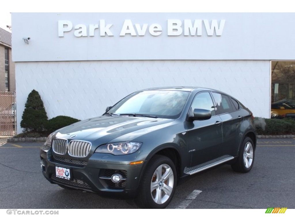 Tasman Green Metallic BMW X6