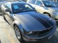 2005 Mineral Grey Metallic Ford Mustang V6 Deluxe Coupe #88349106