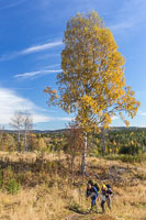 Autumn landscape on the way back - in the distance you can just about see the cabin