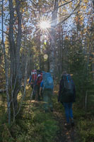 On our way through the forest