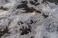 Pretty patterns on a freezing lake