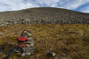 A very welcome patch of grass in the middle of the rocks