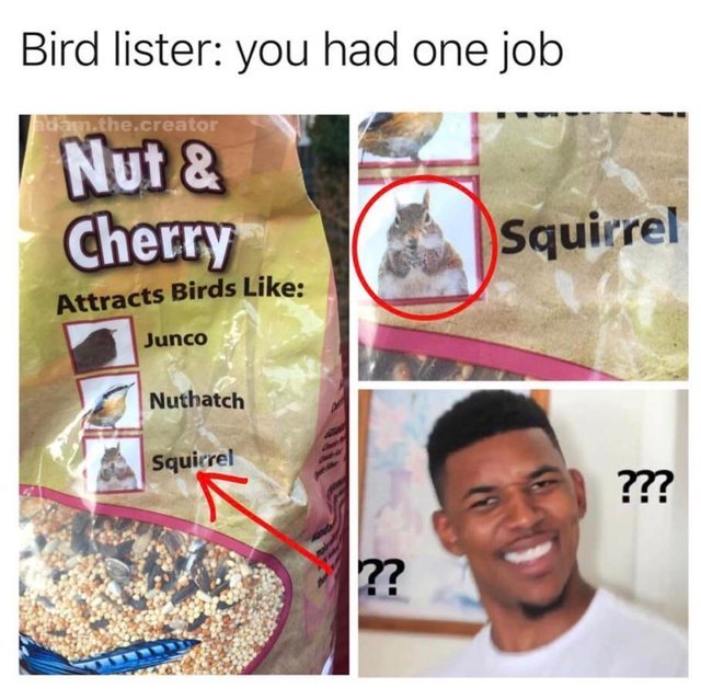 Bird lister you had one job - Meme by DangerousPizza  Memedroid