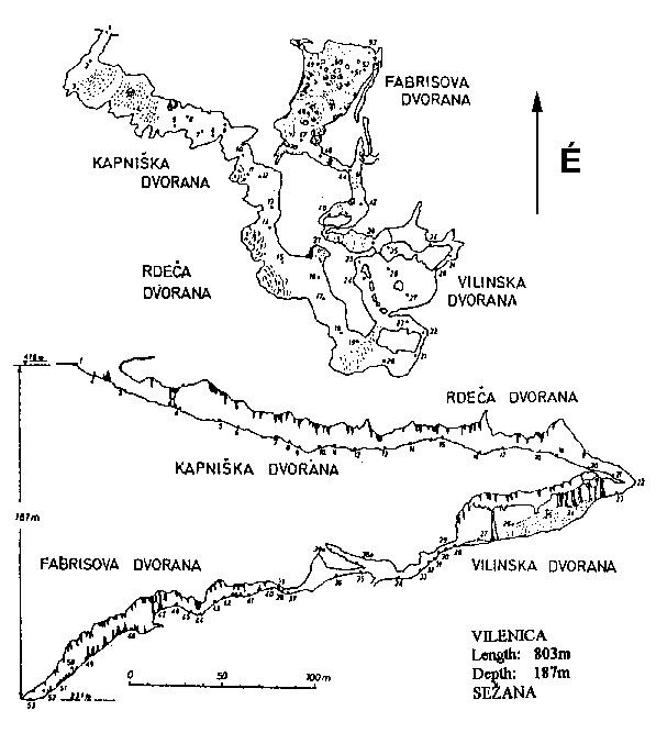 The cave map