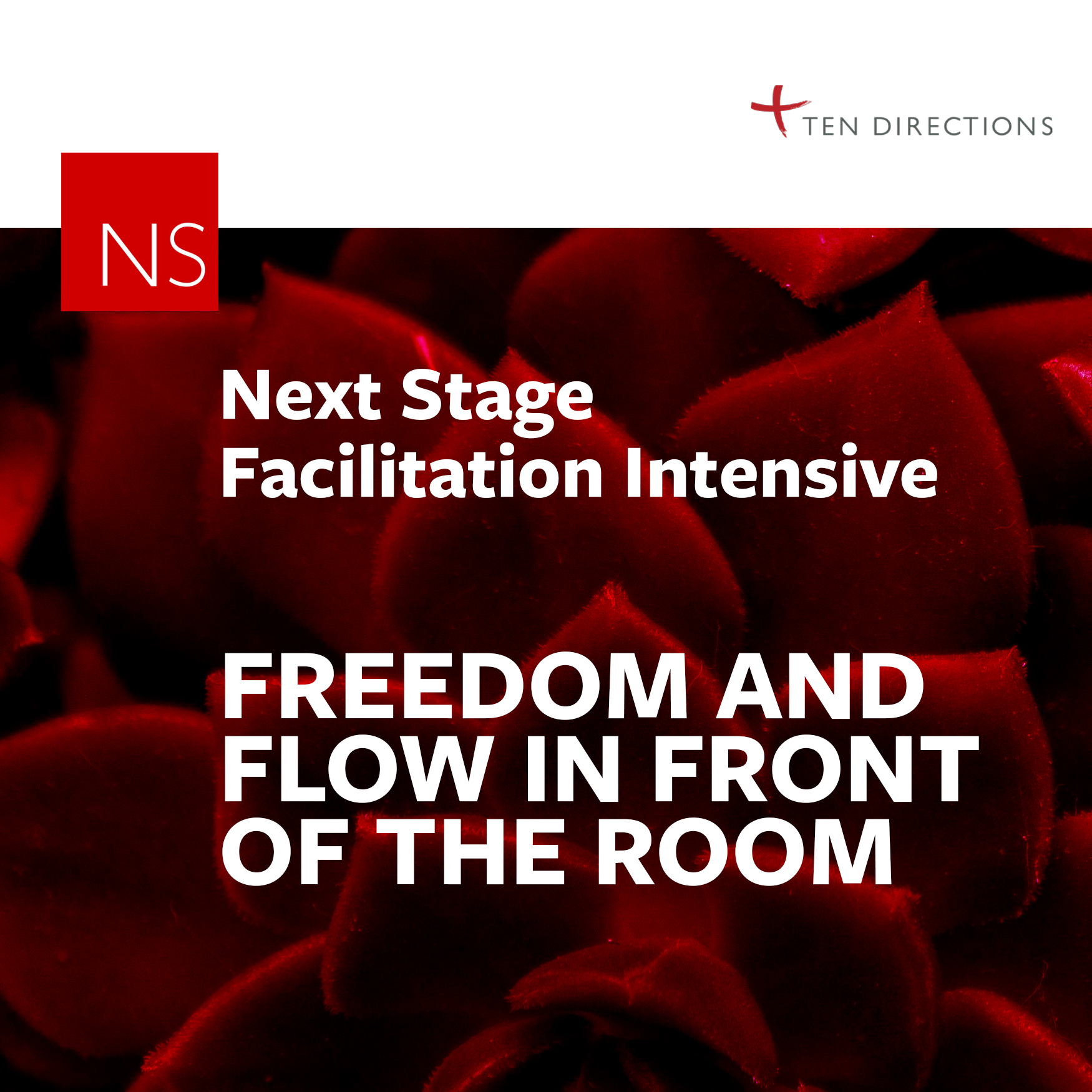 Next Stage Facilitation