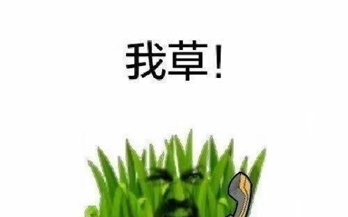 我日，我日啊！我草，我草啊！