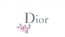 Dior Logo Brand